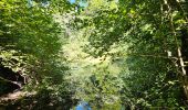 Tour Wandern Les Houches - J6 - Servoz - La Cote - La Gouille du Bë - Photo 13