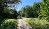 Tour Wandern Fleury - en Forêt de Retz_92_05_2022_Rond d'Orléans_Chapeau des Cordeliers_la Laie des étangs de Longpont - Photo 13