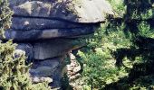 Tour Zu Fuß Zell im Fichtelgebirge - Sparneck-Großer Waldstein - Photo 7