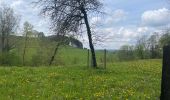 Trail Walking Florenville - 83.631 Muno -  Chassepierre   - Photo 16