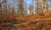 Randonnée A pied Vieux-Moulin - en forêt de Compiègne_23_la Grotte des Ramoneurs_le Mont Berny - Photo 11