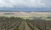 Trail Walking Les Riceys - Ricey bois, cadoles et vignes 13 km - Photo 10