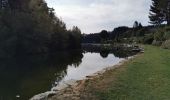 Excursión Senderismo Waimes - Barrage de Robert Ville et Château Steinhart - Photo 18