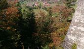 Trail Walking Nanchez - les Piards Prenovel de Bise  - Photo 2