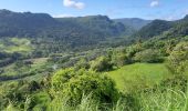 Tour Wandern Le Lorrain - Boucle Dorival - Cledelin - Carabin - Vallon - Photo 8