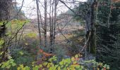 Trail Walking Séchilienne - Lac de Luitel - Pic de l'oeilly  - Photo 9