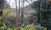 Tocht Stappen Séchilienne - Lac de Luitel - Pic de l'oeilly  - Photo 9