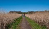 Tocht Te voet Busdorf - Noorroute - Photo 1