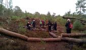 Randonnée Marche Fontainebleau - Un merle sur son mont - Photo 4