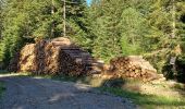 Tour Wandern Verdaches - VERDACHE.  Charcherie  , balade du Pré des Bois , cabane des bœufs  , o ĺ s - Photo 6