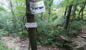 Tour Zu Fuß Lecco - Sentiero 1: Malnago - Rifugio Azzoni - Photo 1