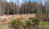 Trail Walking Spa - sauvenière . tour berinzenne . tahanfagne . sauvenière - Photo 8