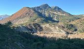 Trail Walking Castellane - Thyrs : sommet du Robion - Photo 4