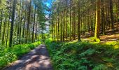 Tour Wandern Bouillon - Balade à Ucimont - Photo 4