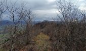 Tocht Stappen La Chapelle-en-Vercors - Serre Plumé  - Photo 10