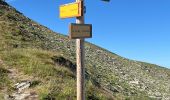 Tour Wandern Vaujany - Sabot Aiguillettes Couard Lac de la Fare 2800 trace réelle - Photo 6