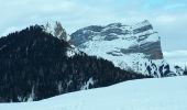Tour Schneeschuhwandern Le Sappey-en-Chartreuse - Eimendras du dessus en circuit - Photo 7