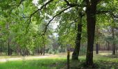 Percorso A piedi Byhleguhre-Byhlen - Wanderweg Byhleguhrer See-Byhleguhre-Bismarkturm-Burg - Photo 10