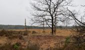 Tour Wandern Kalmthout - Kalmthout 20 km - Photo 1