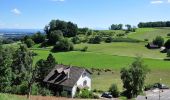 Tocht Te voet Regensberg - Regensberg - Lägernweid - Photo 8