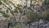 Trail Walking Estoublon - gorges de trevans sentier de valbonette - Photo 5