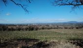 Trail Walking Courthézon - courthezon 84 - Photo 2