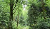 Tour Wandern Vecoux - 07-06-21 Reherrey- chalet des meules- col de xiard- chalet de l'avuxon- source chaude - Photo 17