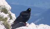 Excursión Senderismo Saint-Agnan-en-Vercors - Le Grand Veymont - Photo 14