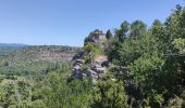 Excursión Senderismo Berrias-et-Casteljau - Bois de Paiolive Gorges de Chassezac - Photo 3