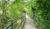 Tour Wandern Ittre - 2020-05-16 CH Fauquez - Virginal - Quenast - Raymonde - Rebecq Retour 21 km - Photo 19