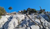 Tocht Stappen La Valette-du-Var - coudon sud et crête ouest - Photo 9