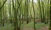 Percorso Marcia Thuin - Aulne dans les bois - Photo 2