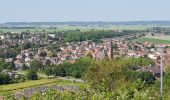 Trail Walking Hénin-Beaumont - Parc des Iles Hennin Drocourt - Photo 13