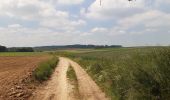 Tocht Stappen Huldenberg - petite rando autour du kinderveld  - Photo 12