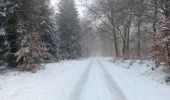 Percorso Marcia Spa - berinzenne entre fagne et bois dans le brouillard - Photo 9