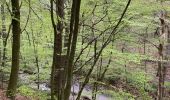 Trail Horseback riding Theux - Ninglinspo  - Photo 6
