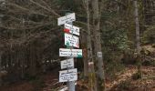 Trail Walking Plancher-les-Mines - Planche des Belles Filles - Photo 4