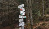 Randonnée Marche Plancher-les-Mines - Planche des Belles Filles - Photo 4