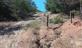 Randonnée Marche Prades - codalet . coll de Clara . abbaye St Michel de Cuxa . canal bohère - Photo 19