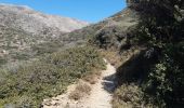 Trail Walking Unknown - chora à katapola - Photo 3