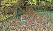 Trail Walking Honnelles - La promenade du Caillou qui Bique - Photo 1