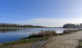 Tocht Stappen Noisiel - Noisiel et la chocolaterie - Photo 11