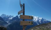 Excursión Senderismo Chamonix-Mont-Blanc - MASSIF DU MONT BLANC: INDEX-LAC BLANC-FLEGERE - Photo 13