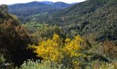 Tour Wandern Montauroux - Esterets du Lac - Observatoire - Lac de St Cassien - Photo 5