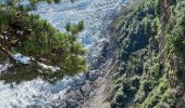 Tour Wandern Chamonix-Mont-Blanc - Chalet des Pyramides 1895m 11.7.22 - Photo 8