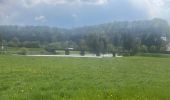Trail Walking Florenville - 83.631 Muno -  Chassepierre   - Photo 6