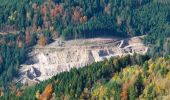 Tour Zu Fuß Baiersbronn - Seibelseckle - Schönmünzach - Photo 10