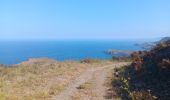 Trail Walking Banyuls-sur-Mer - cap del troc . coll de gran bau . cap réderis . retour par le chemin du littoral  - Photo 10