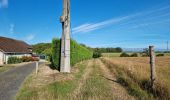 Trail Walking Saint-Laurent-en-Gâtines - Saint-Laurent-en-Gatines - Photo 17