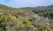 Randonnée Marche Roquebrune-sur-Argens - Massif flute - Photo 1